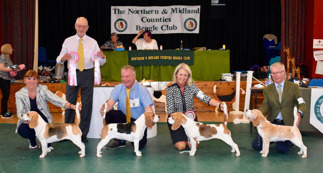 Midland counties store dog show 2018